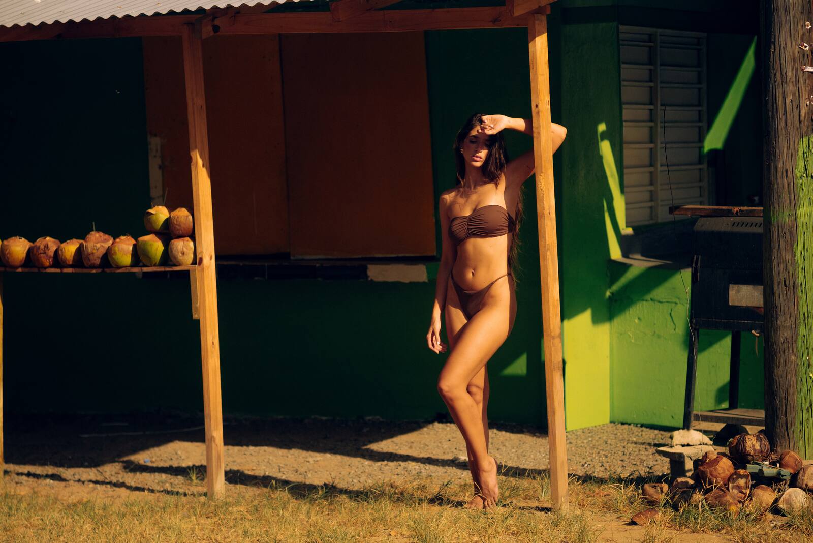 The green fruit stand under its tin roof, coconuts on the rail, the island behind.